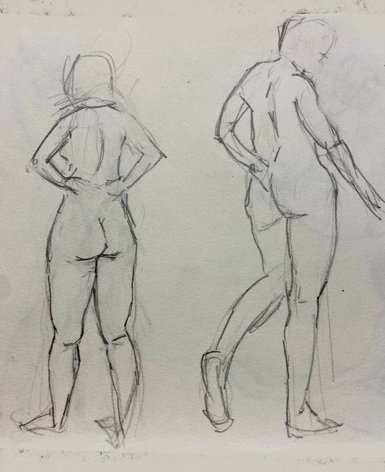 Model (56)